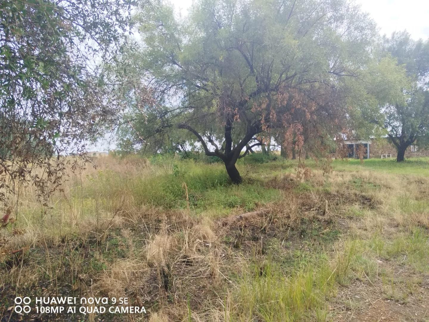 Vacant Land for Sale - Gauteng