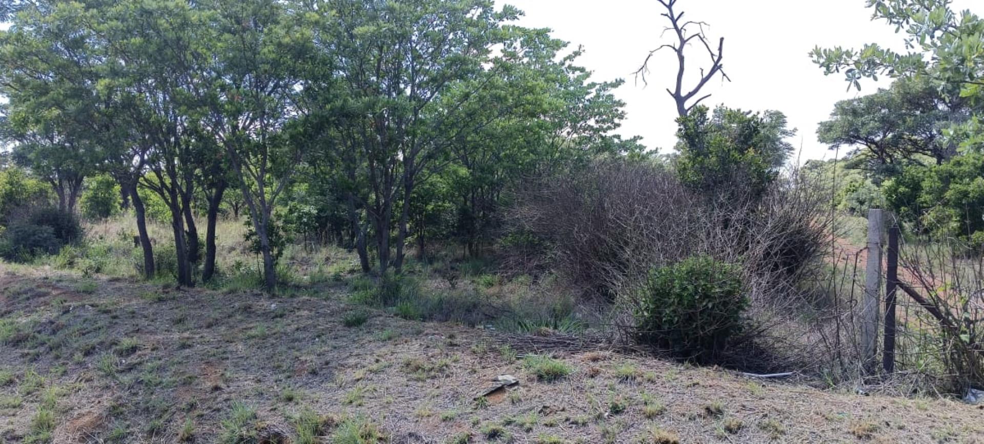 Vacant Land for Sale - Gauteng