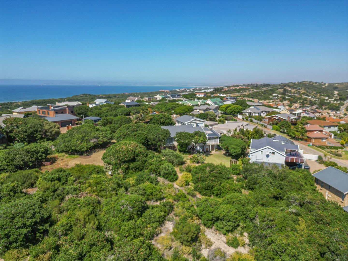 706719_DJI_0916.jpg