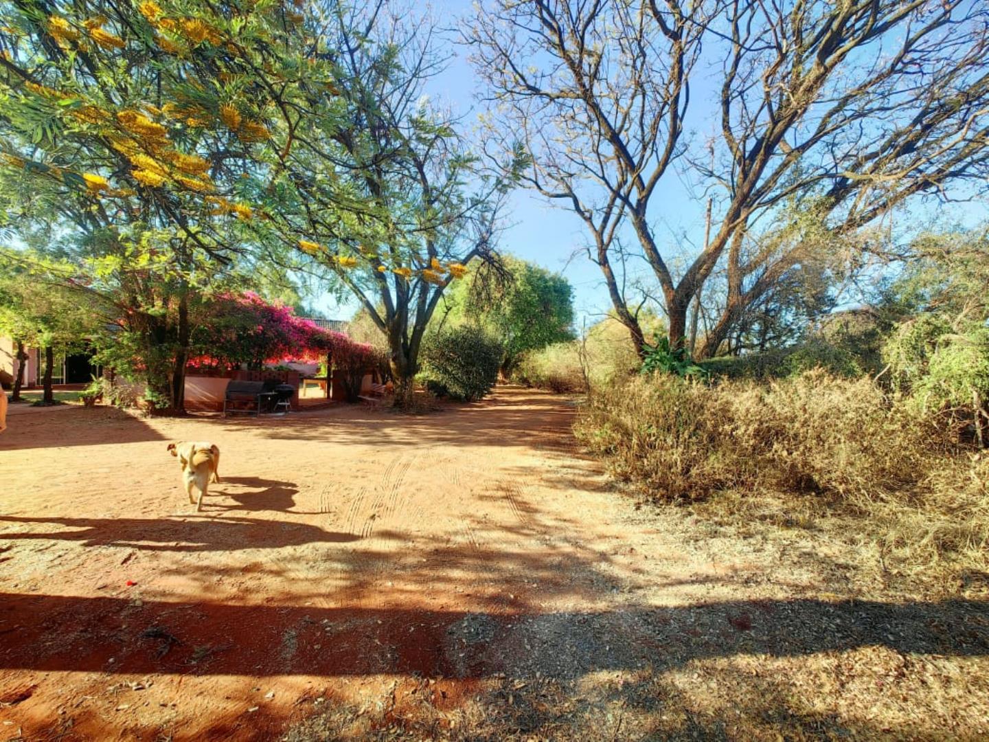 Smallholding for Sale - Gauteng