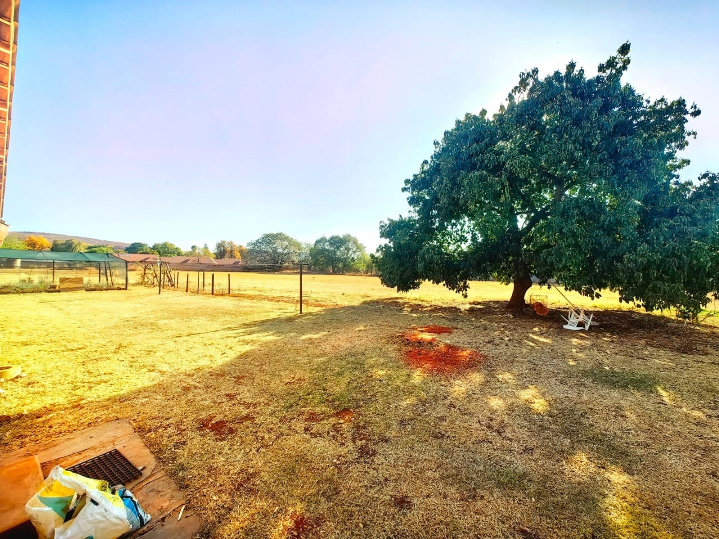 Smallholding for Sale - Gauteng