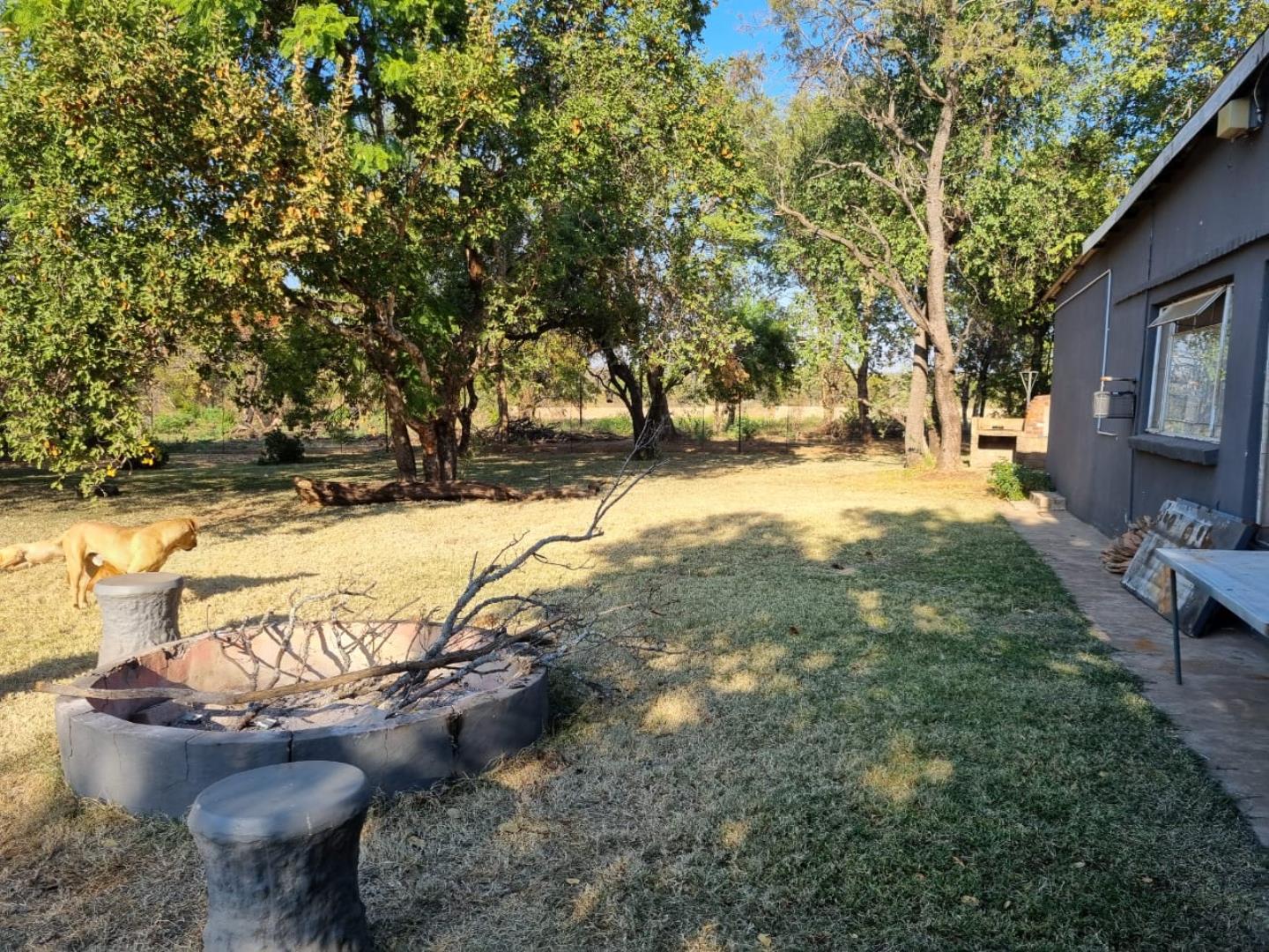 Farm for Sale - Gauteng